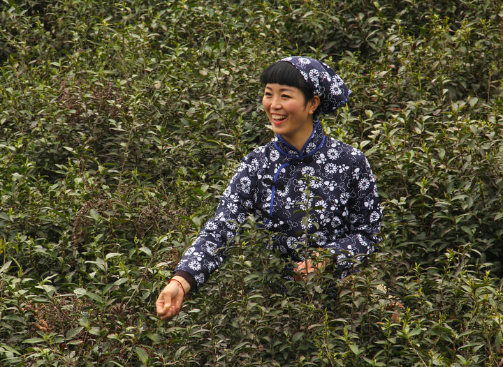 成人视频 最新4